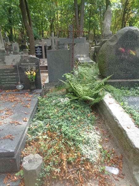 Zdjęcie grobu Michał Walicki (1)