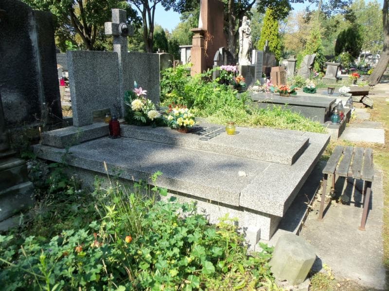 Zdjęcie grobu Janina Lewicka (1)