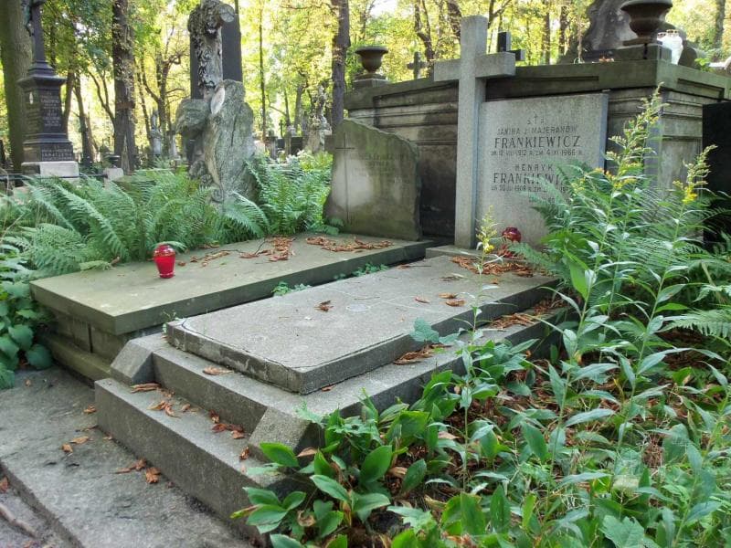 Zdjęcie grobu Henryk Frankiewicz (1)