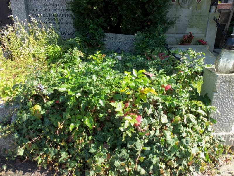 Zdjęcie grobu: Jadwiga Hojnacka