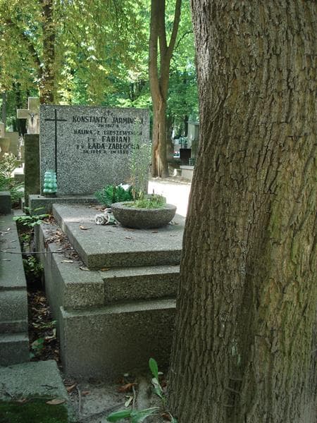 Zdjęcie grobu: Konstanty Jarmiński