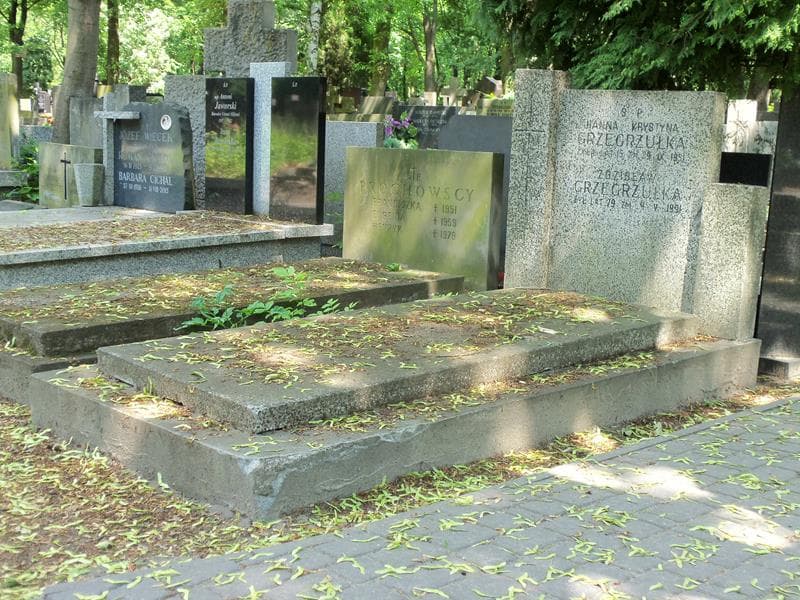 Zdjęcie grobu Zdzisław Grzegrzułka (1)