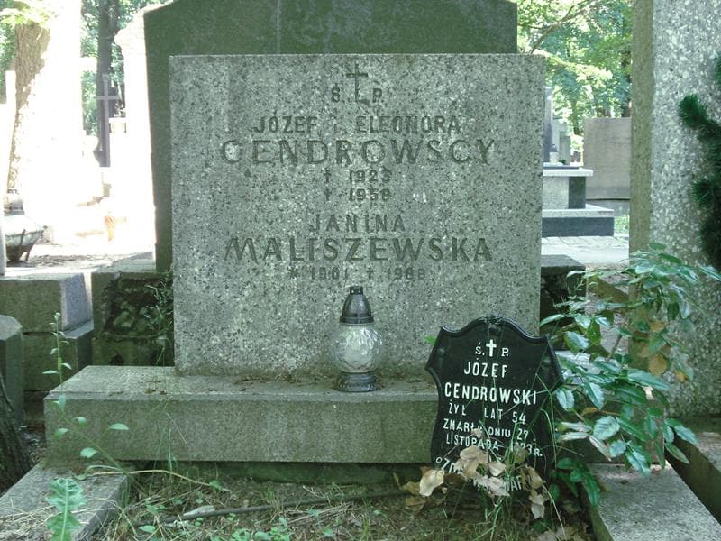 Zdjęcie grobu Eleonora Cendrowska (1)