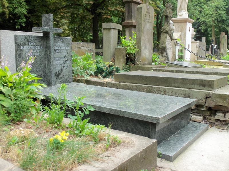 Zdjęcie grobu Antoni Krzywicki (1)