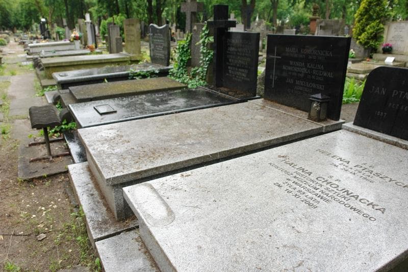 Zdjęcie grobu: Jan Mikułowski