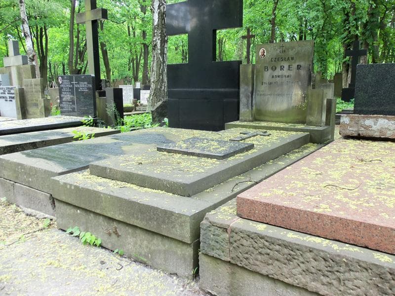 Zdjęcie grobu Leon Borer (1)