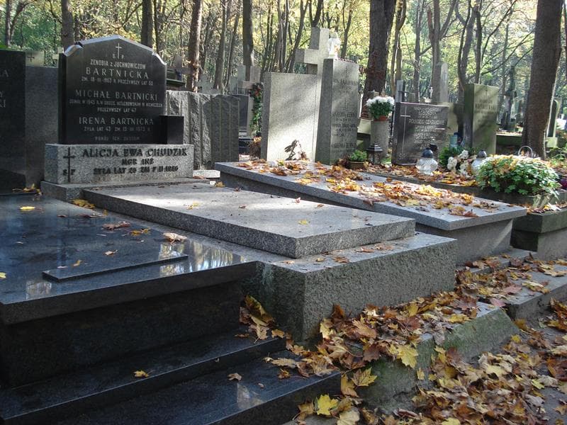 Zdjęcie grobu Zenobia Bartnicka (1)