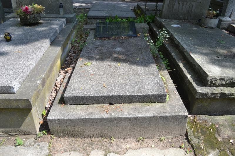 Zdjęcie grobu Kazimierz Jarocki (1)