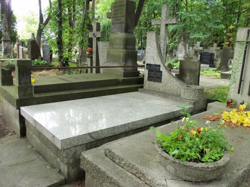Zdjęcie grobu: Czesław Domicz
