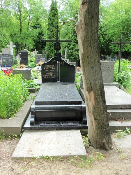 Zdjęcie grobu: Jadwiga Szenfeld