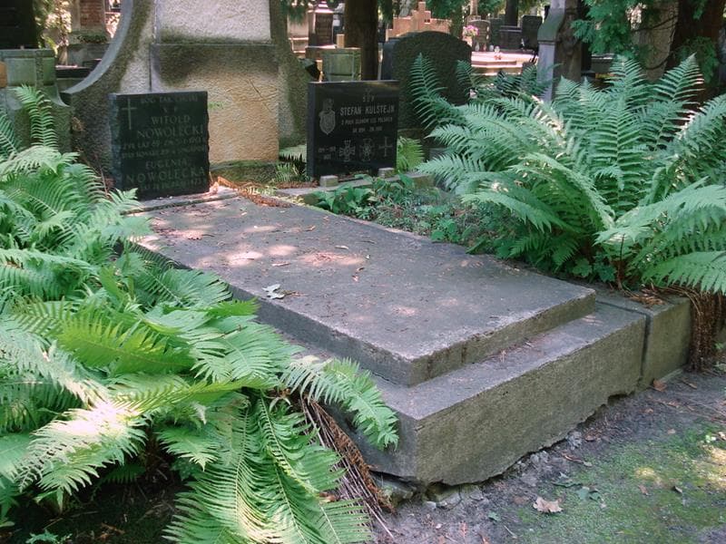 Zdjęcie grobu: Witold Nowolecki