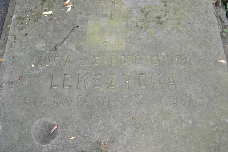 Zdjęcie grobu Zofia Lekszycka (2)