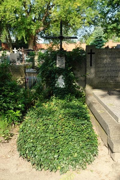 Zdjęcie grobu Zygmuś Seta (1)