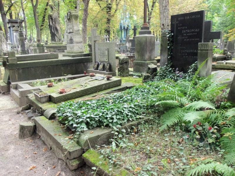 Zdjęcie grobu Janina Jankowska (1)