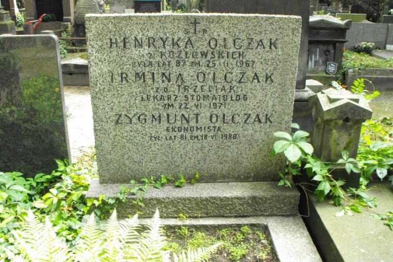Zdjęcie grobu Irmina Olczak (2)