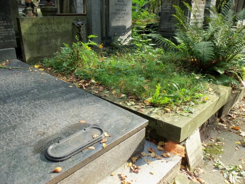 Zdjęcie grobu Stanisława Gacka (1)