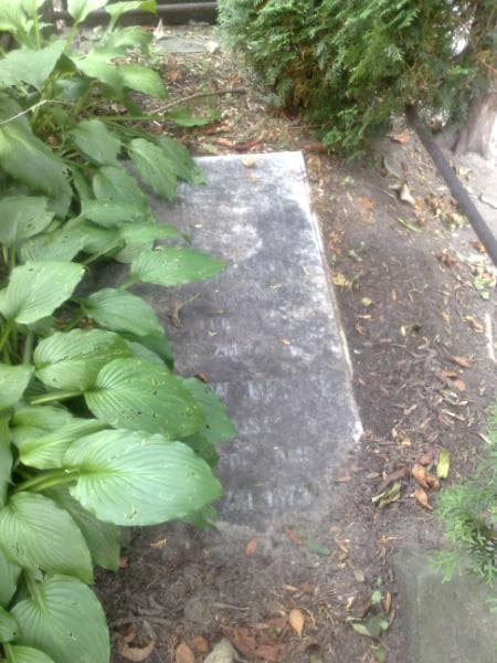 Zdjęcie grobu Władysław Leski (2)