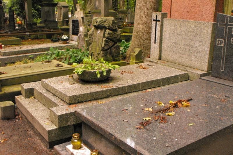 Zdjęcie grobu Feliks Buraczewski (1)