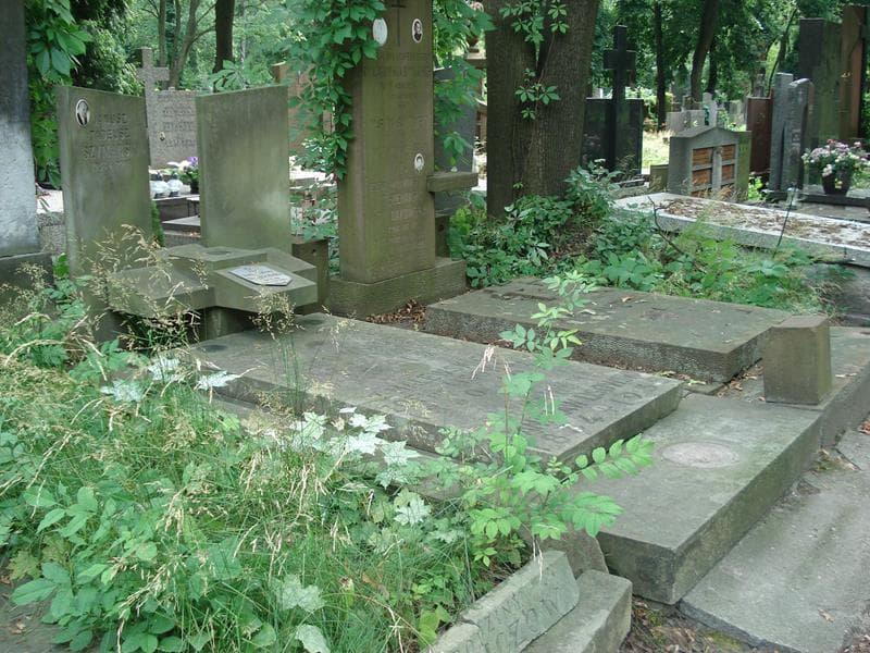 Zdjęcie grobu: Stanisław Lisowski