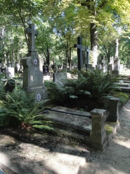 Zdjęcie grobu Aniela Borzysławska (1)