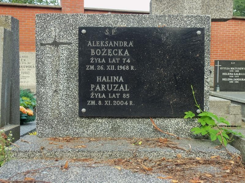 Zdjęcie grobu Aleksandra Bożęcka (2)