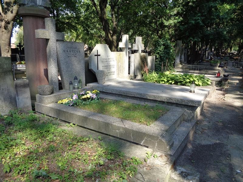 Zdjęcie grobu: Franciszek Marczak