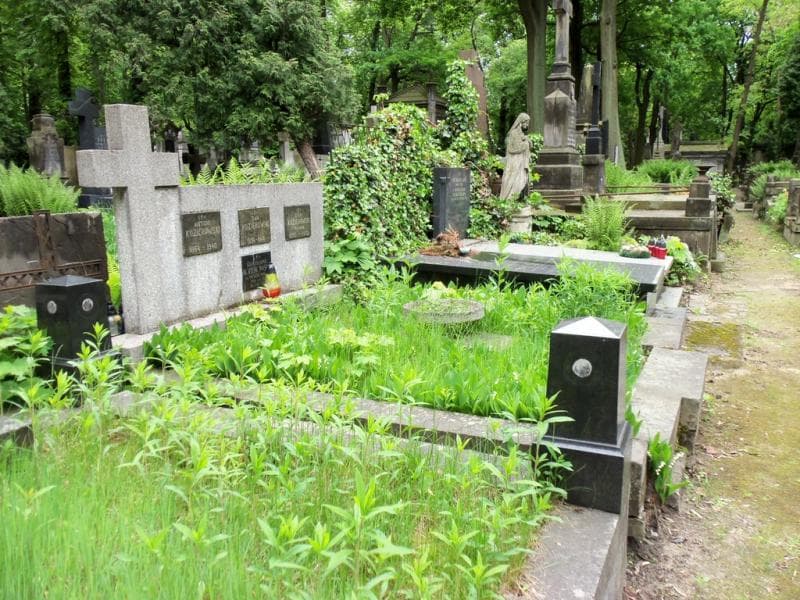 Zdjęcie grobu Lech Kozierowski (1)