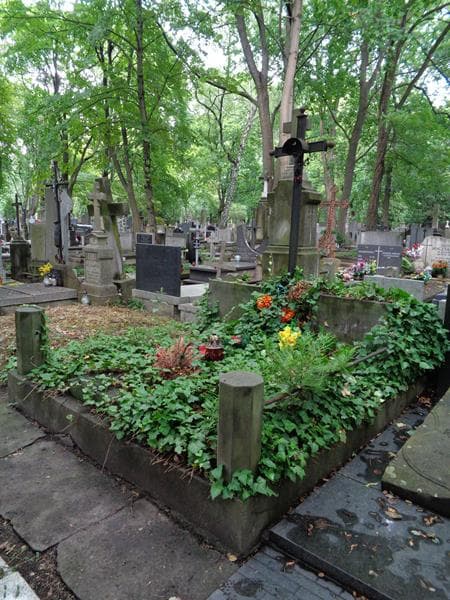 Zdjęcie grobu: Franciszek Obrębski