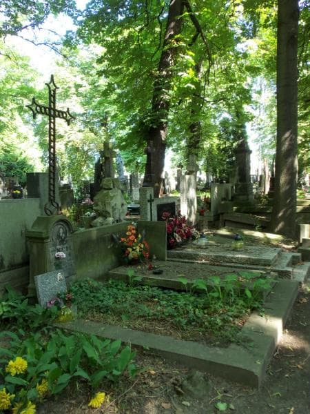 Zdjęcie grobu Janina Julja Gątarek (1)