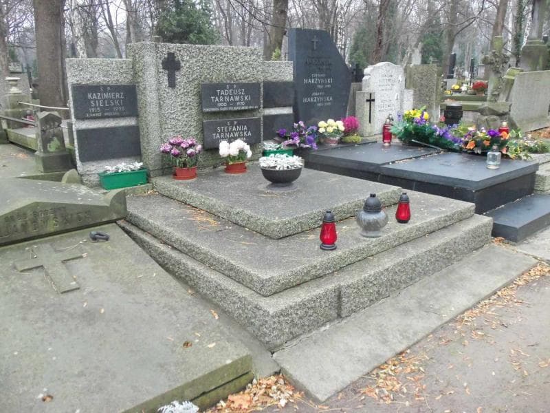 Zdjęcie grobu Stefania Tarnawska (1)