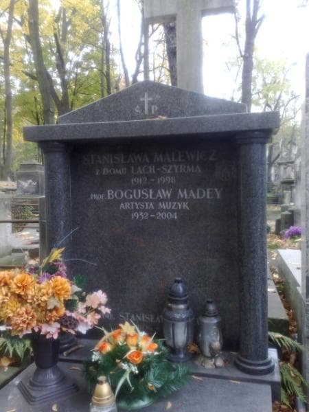 Zdjęcie grobu Stanisław Malewicz (1)