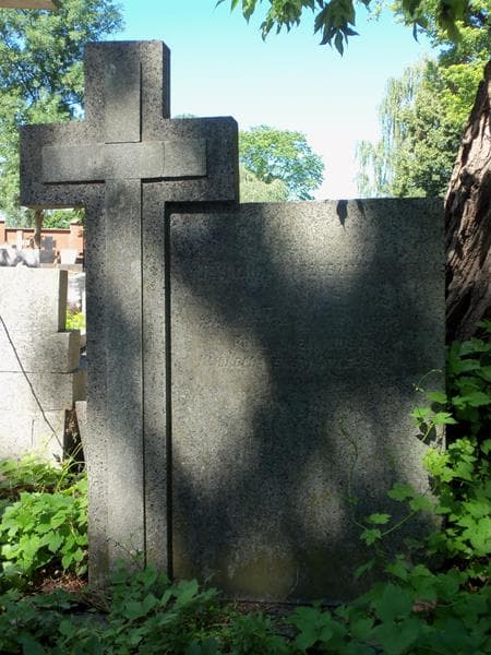 Zdjęcie grobu Michalina Lis (2)