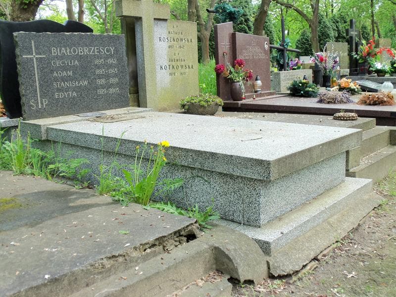 Zdjęcie grobu Adam Białobrzeski (1)
