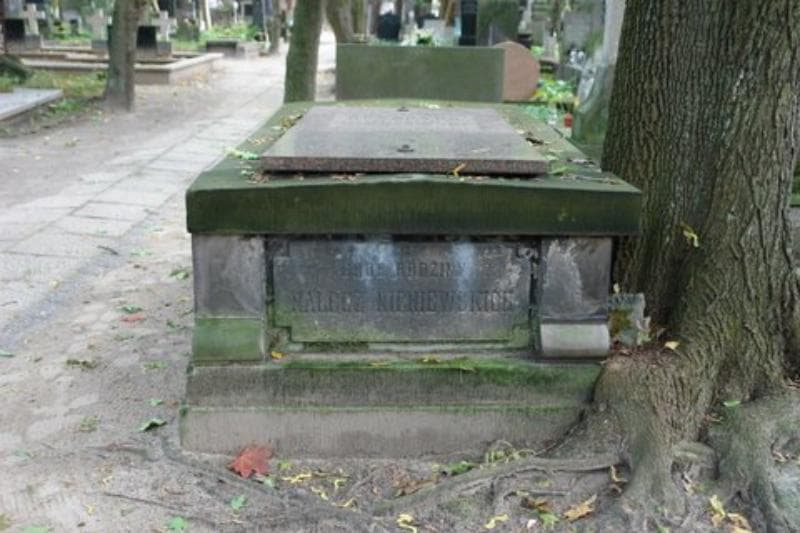 Zdjęcie grobu: Apolonjusz Nieniewski
