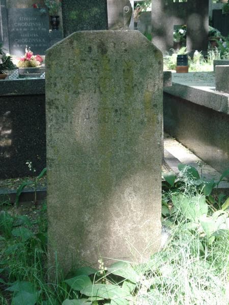 Zdjęcie grobu Nowakowscy (1)