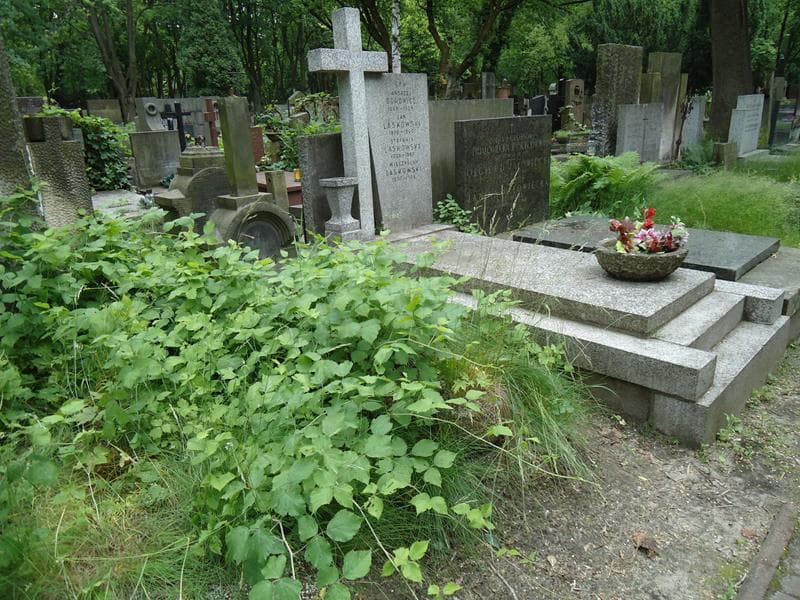 Zdjęcie grobu Mieczysław Jarzęcki (1)