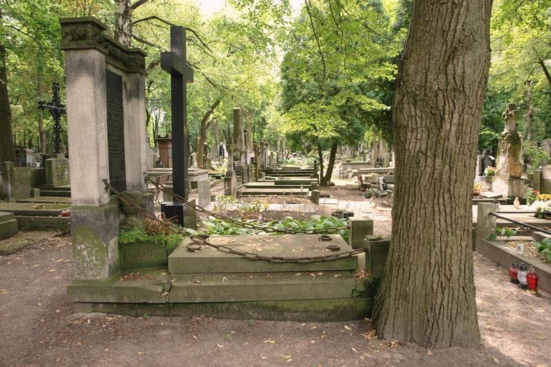 Zdjęcie grobu: Terenia Leśniewska