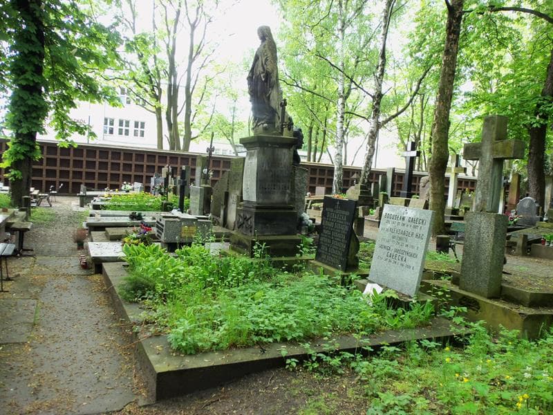 Zdjęcie grobu Franciszek Jałoszyński (1)