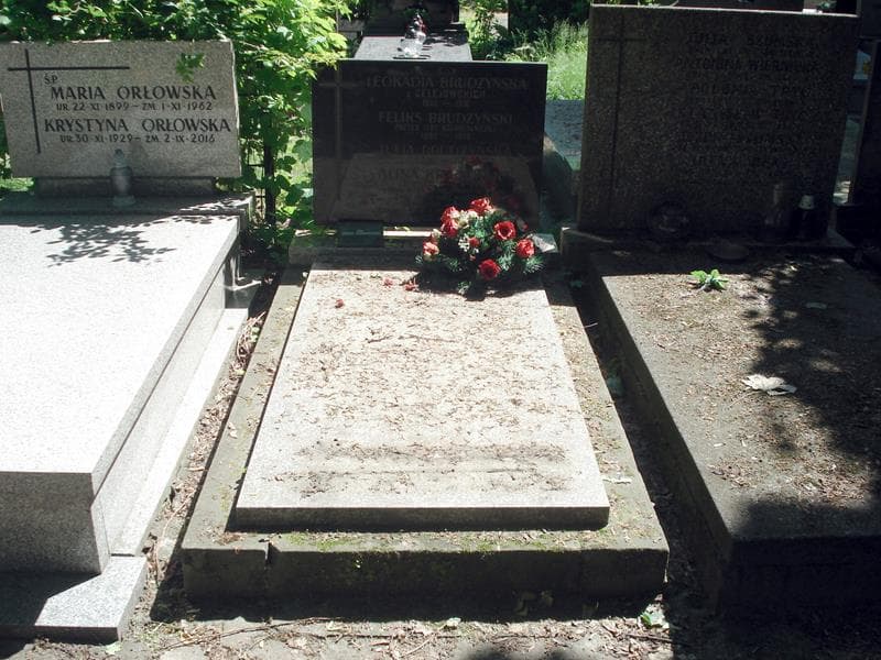 Zdjęcie grobu: Feliks Brudzyński