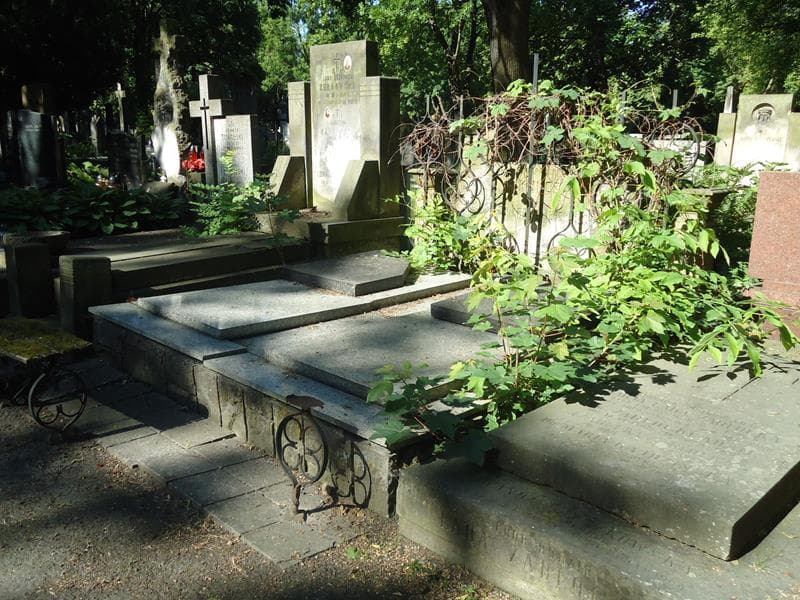 Zdjęcie grobu Leon Bregy (1)