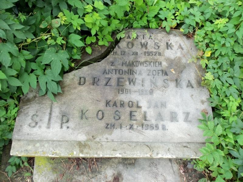 Zdjęcie grobu Antonina Zofia Drzewińska (2)