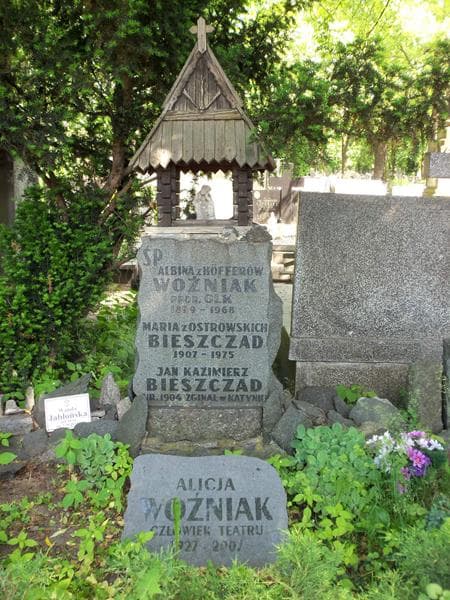 Zdjęcie grobu Jan Kazimierz Bieszczad (2)