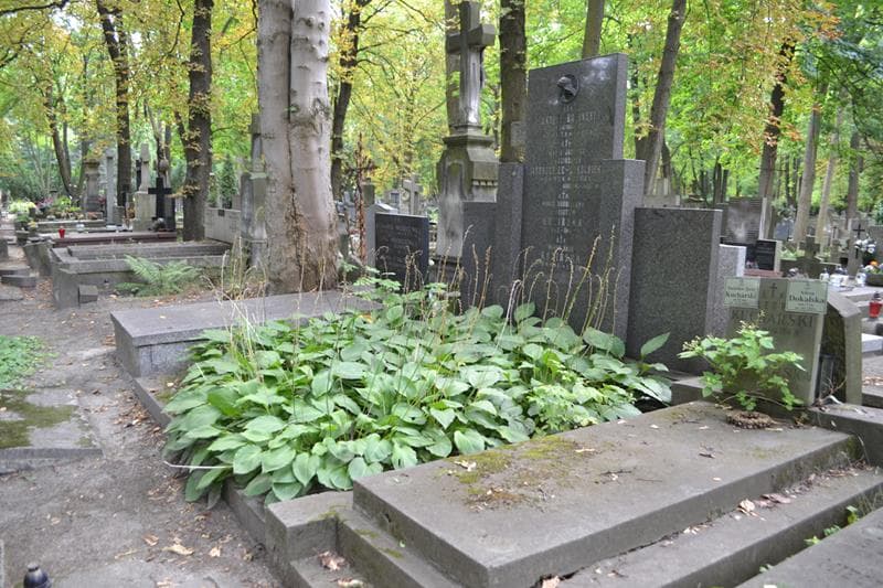 Zdjęcie grobu: Maria Jadwiga Jastrzębiec - Sokolnicka