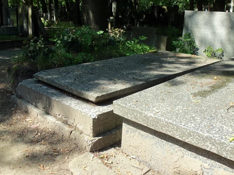 Zdjęcie grobu Leopold Jesionek (2)