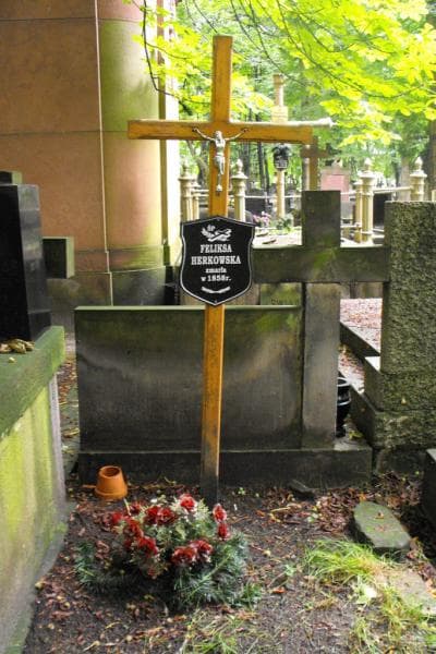 Zdjęcie grobu Feliksa Herkowska (2)