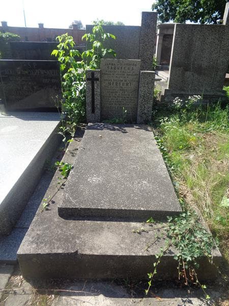 Zdjęcie grobu Tadeusz Herfurt (1)
