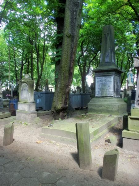 Zdjęcie grobu Pelagja Jabłońska (1)