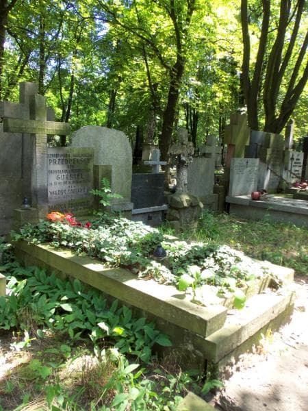 Zdjęcie grobu: Wiktor Birkholc