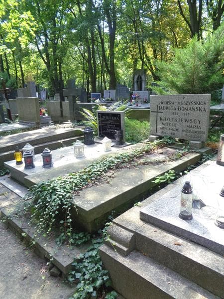 Zdjęcie grobu: Jadwiga Domańska