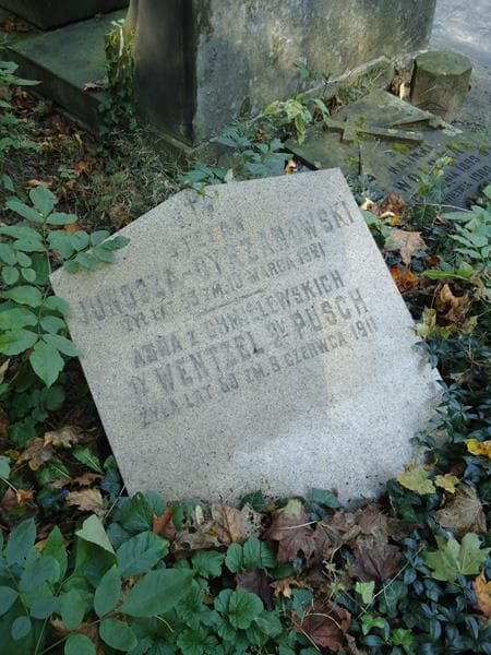 Zdjęcie grobu Anna Pusch (2)